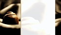 Carte-de-visite-gratuite-chocolaterie